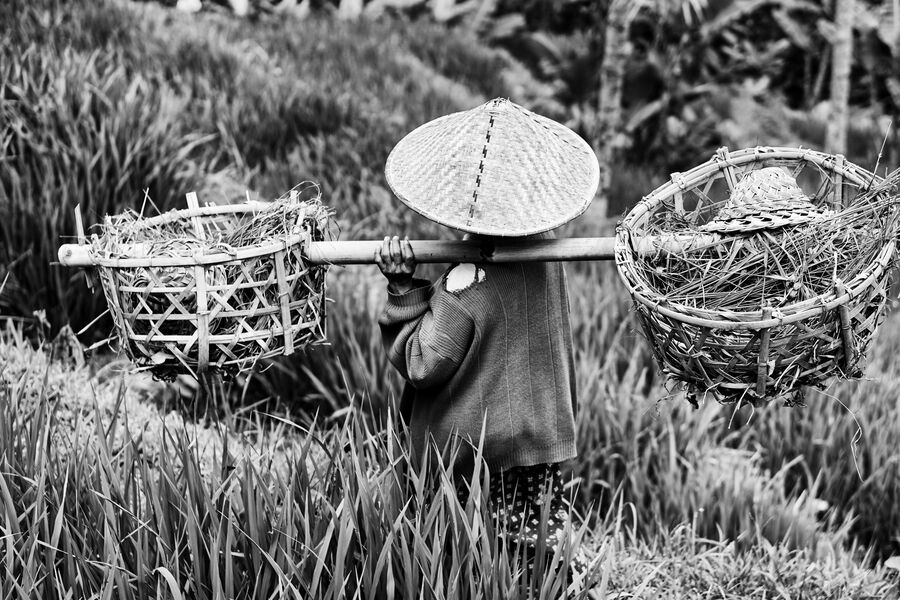 Bali, Indonesia 2014 — documentary photograph by Volkan Çolak