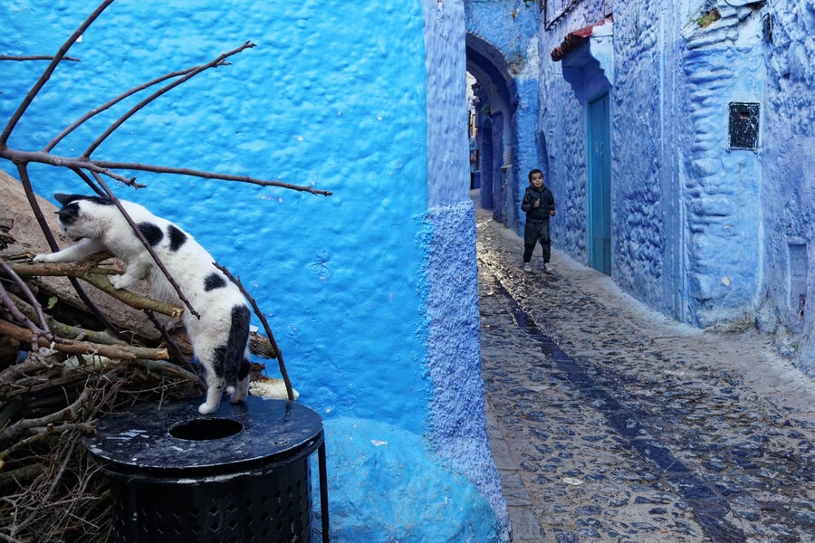 Chefchaouen, Morocco 2018 — documentary photograph by Volkan Çolak