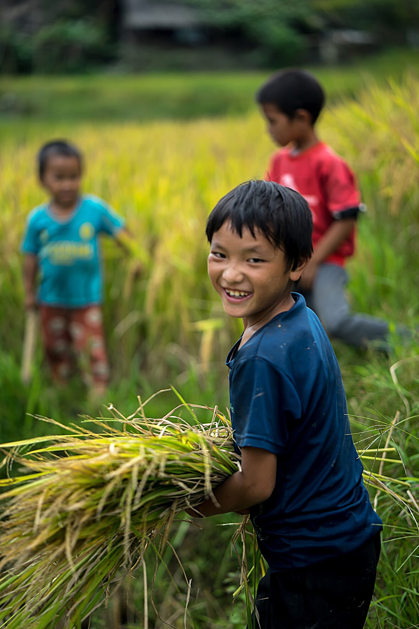 Lào Cai, Vietnam 2017 — documentary photograph by Volkan Çolak