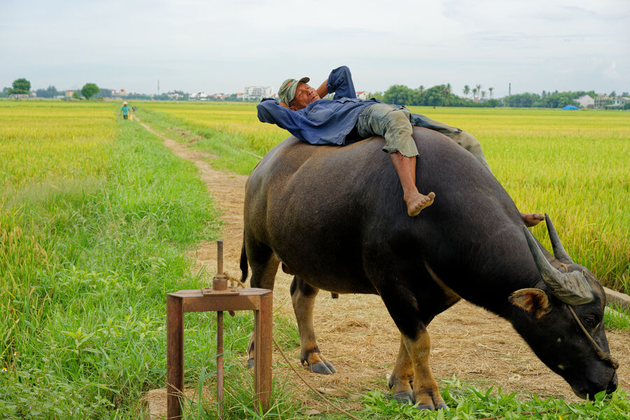 Vietnam — photography series by Volkan Çolak (2017)